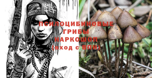 apvp Верхний Тагил